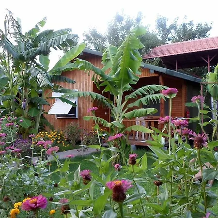 Estelar Guest house 3*