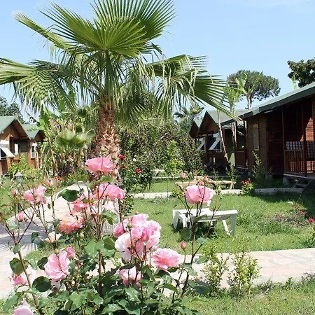 Estelar Guest house 3*