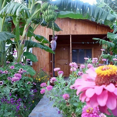 Guest house Estelar Cirali