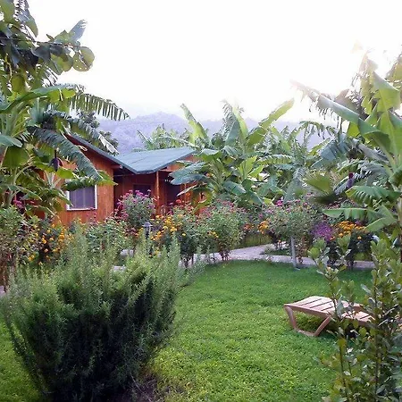 Guest house Estelar Cirali