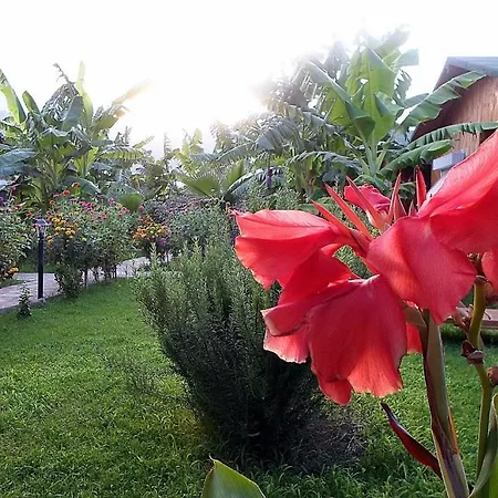 Estelar Guest house 3*