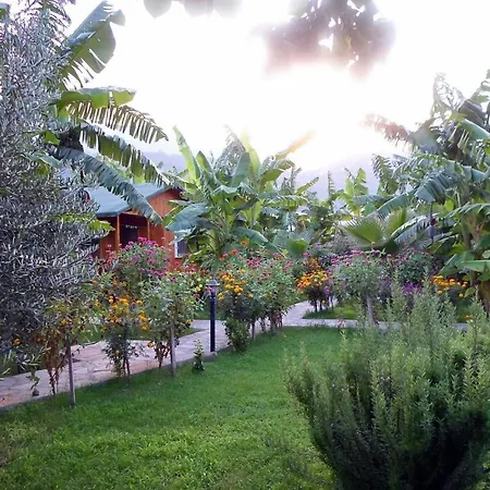 Guest house Estelar