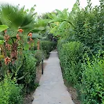 Estelar 3* Çıralı