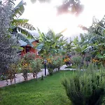 Pensiune Estelar