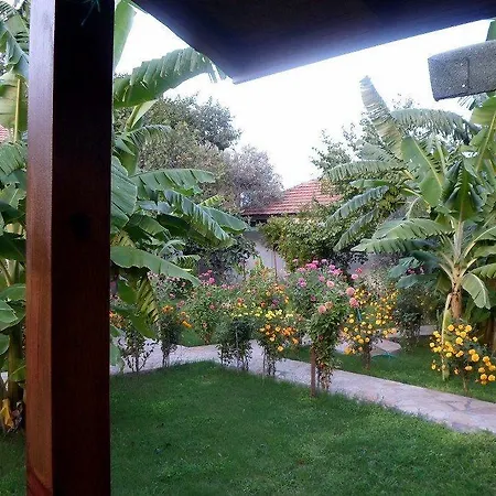 Estelar Çıralı